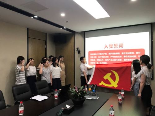 公司第一黨支部、第二黨支部分別召開黨員大會(huì)暨“不忘初心，牢記使命”主題教育專題黨員活動(dòng)日