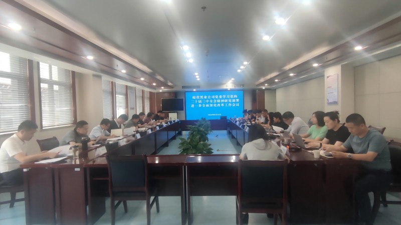 學習貫徹黨的二十屆三中全會精神丨皖投置業(yè)公司召開全面深化改革工作會議